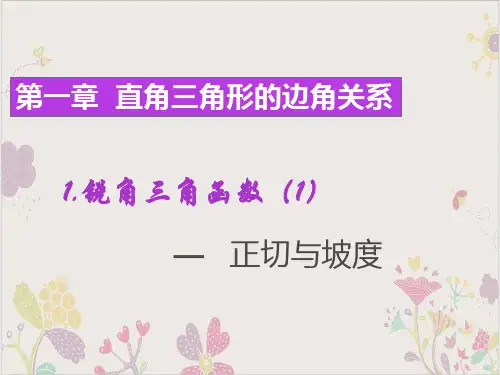 北师大版九年级下册数学1.1锐角三角函数—-梯子的倾斜程度(共21张PPT)