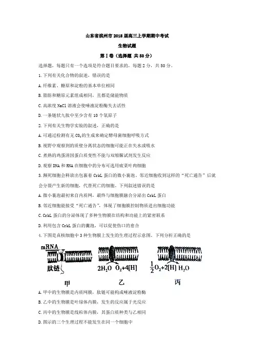山东省滨州市2018届高三上学期期中考试生物试题Word版含答案