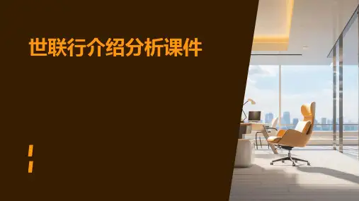 世联行介绍分析课件