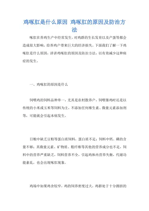 鸡啄肛是什么原因 鸡啄肛的原因及防治方法
