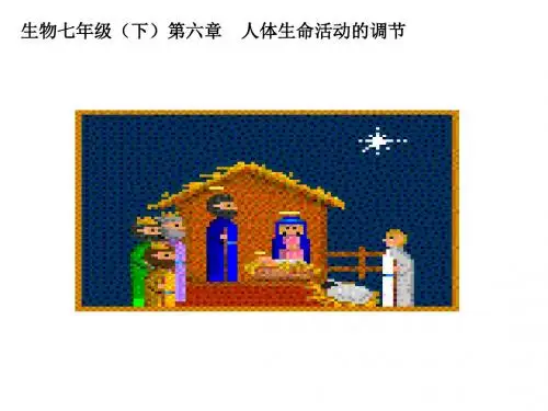 七年级生物下册 6.2 神经系统的组成课件1 新人教版