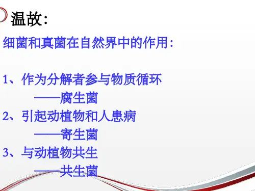 人教版八年级生物上第五单元第四章第五节人类对细菌和真菌的利用教学课件 (共42张PPT)