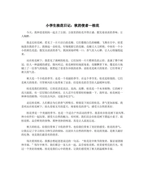 小学生桂花日记：秋的使者—桂花