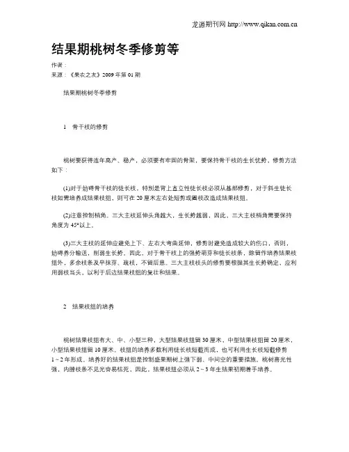 结果期桃树冬季修剪等