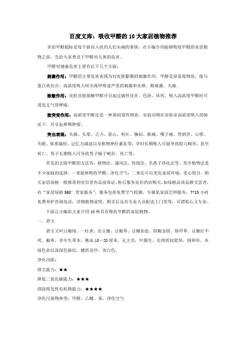 吸收甲醛的10大家居植物推荐