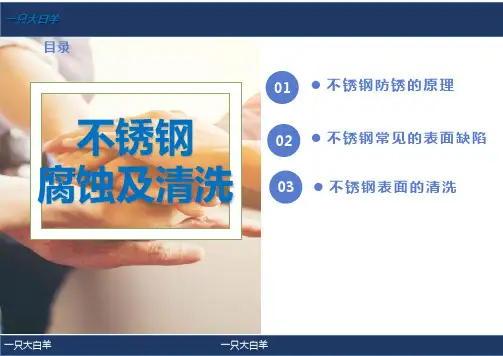 不锈钢腐蚀及清洗
