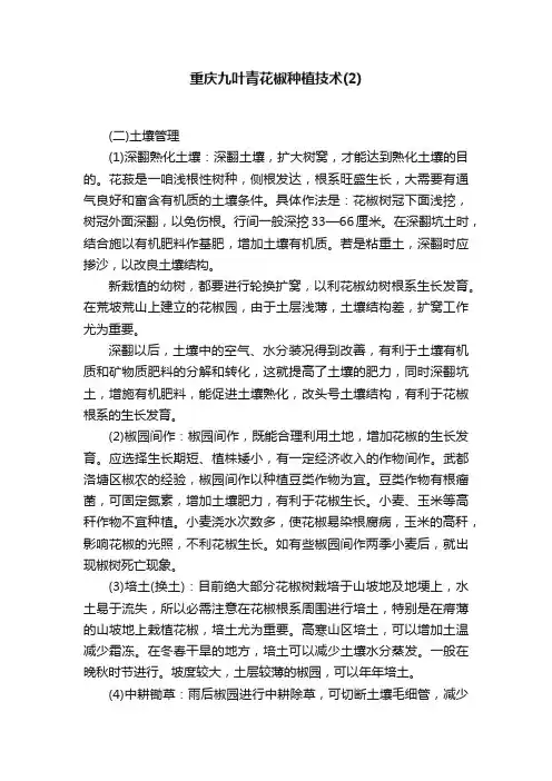 重庆九叶青花椒种植技术（2）