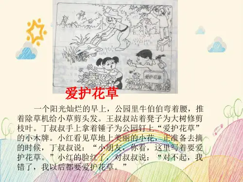 小学二年级看图写话集(完整版有例文) 图文