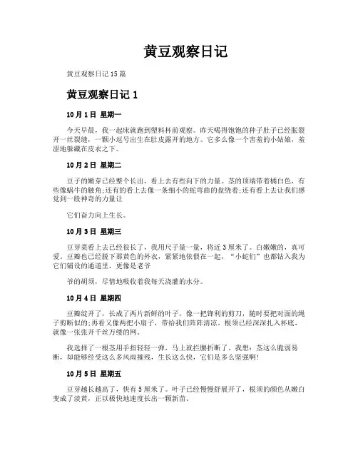 黄豆观察日记