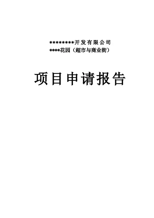 超市与商业街项目申请报告