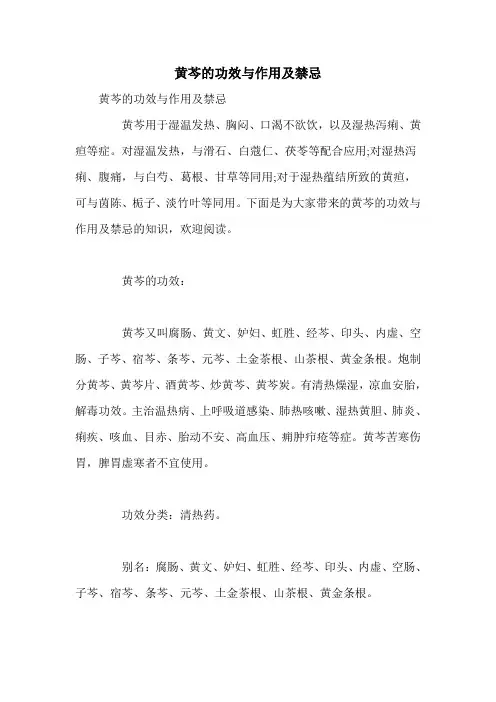 黄芩的功效与作用及禁忌