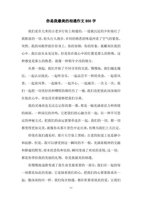 你是我最美的相遇作文800字
