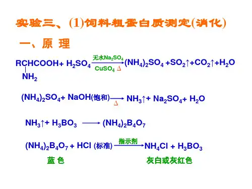 饲料学课件实验三、四 饲料粗蛋白质测定