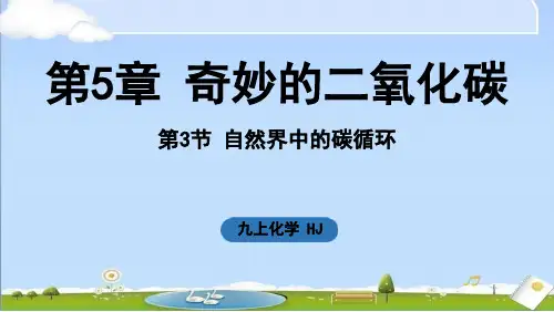 2024年新沪教版九年级上册化学课件 第5章 奇妙的二氧化碳第3节 自然界中的碳循环