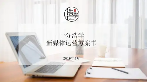 新媒体运营方案书