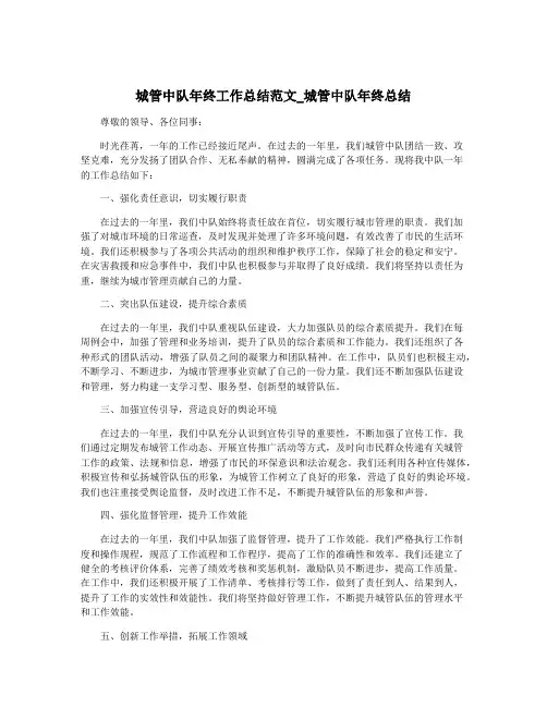 城管中队年终工作总结范文_城管中队年终总结