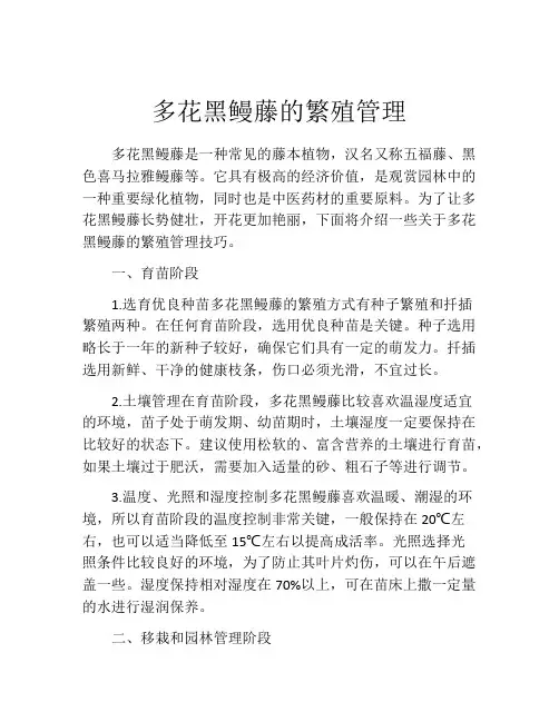 多花黑鳗藤的繁殖管理