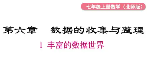 6.1 丰富的数据世界 课件(共17张PPT) 北师大版七年级数学上册