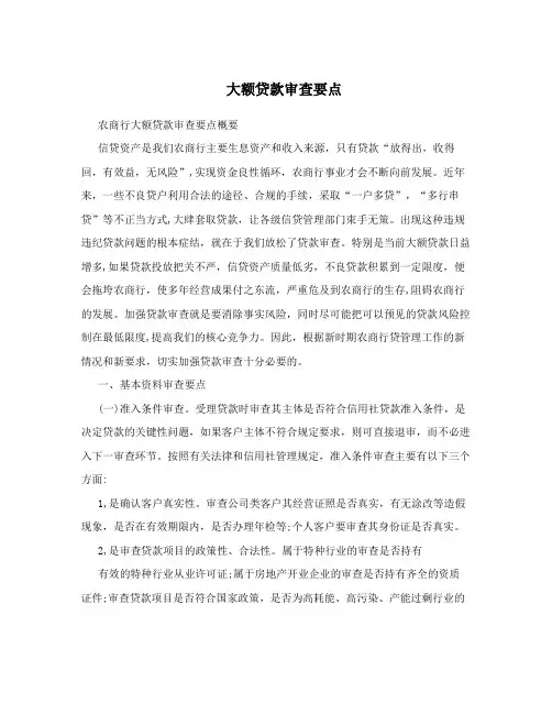 大额贷款审查要点
