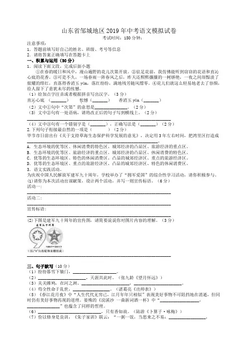 山东省邹城地区2019年中考语文模拟试卷