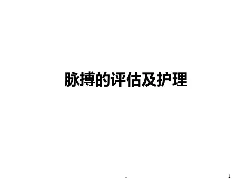 《脉搏的观察与护理》PPT课件