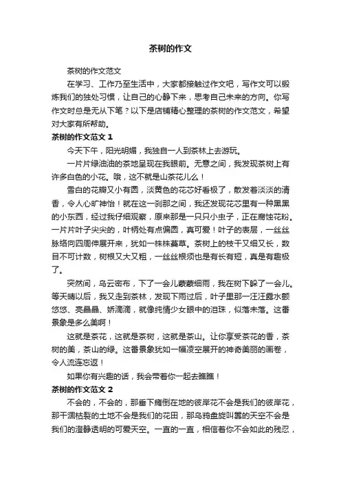 茶树的作文
