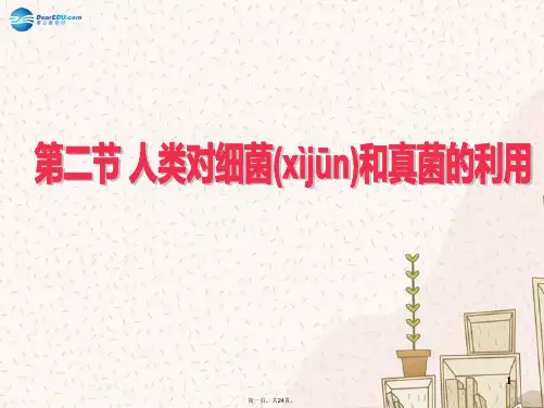 八年级生物上册 第五单元 第五章 第二节 人类对细菌和真菌的利用课件 新人教版