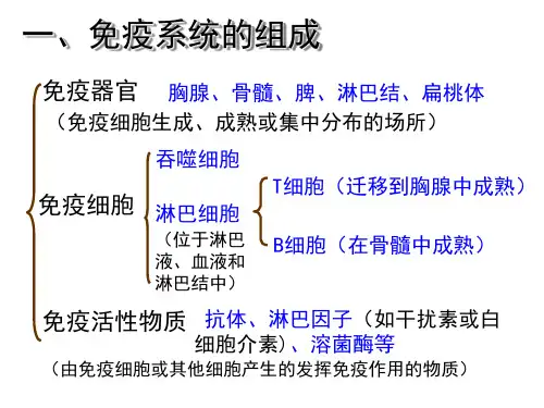 高中生物必修三课件-2.4.2 体液免疫和细胞免疫