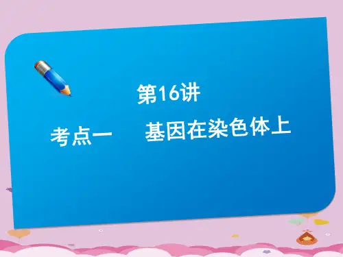 2.2基因在染色体上优质课件