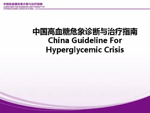 2017年中国高血糖危象诊断与治疗指南