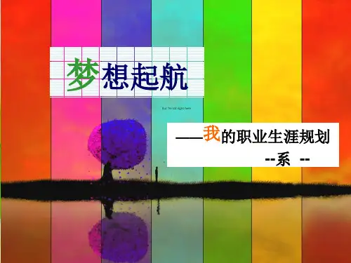 大学生职业生涯规划—适合师范类和物理系(比赛)
