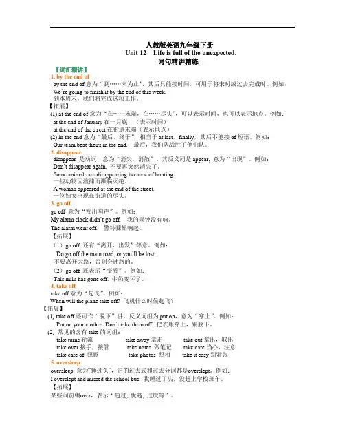 人教版英语九年级下册(讲义)Unit 12 Life is full of the unexpected 词句精讲精练
