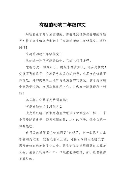 有趣的动物二年级作文