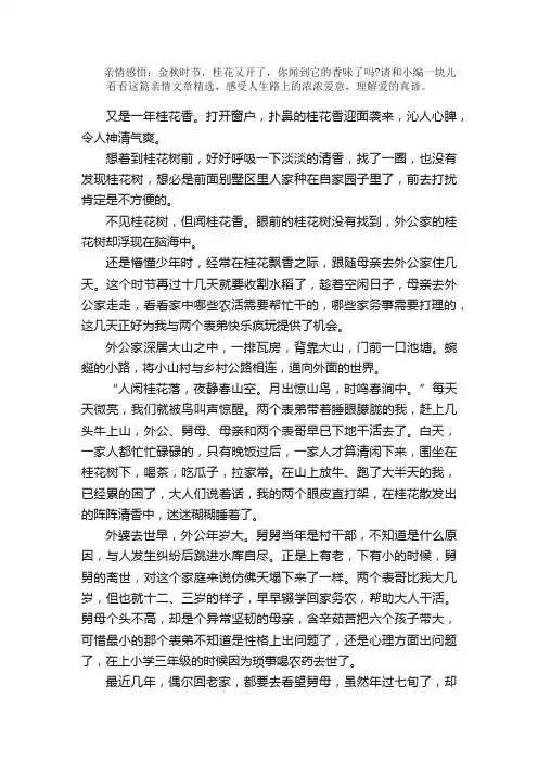 散文：亲情文章美文：桂花香