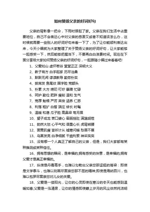 如何赞扬父亲的好词好句