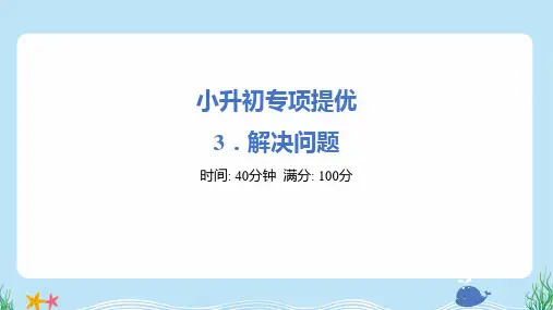 2025年小学数学小升初专项培优训练——解决问题