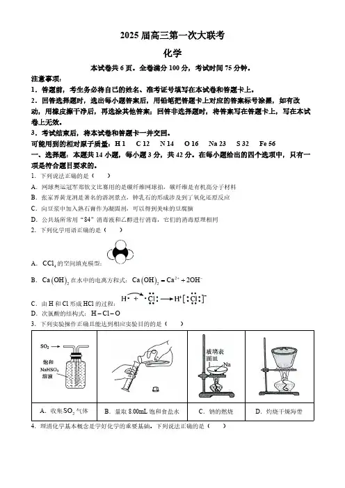 湖南省多校2024-2025学年高三上学期第一次大联考化学试题(含解析)