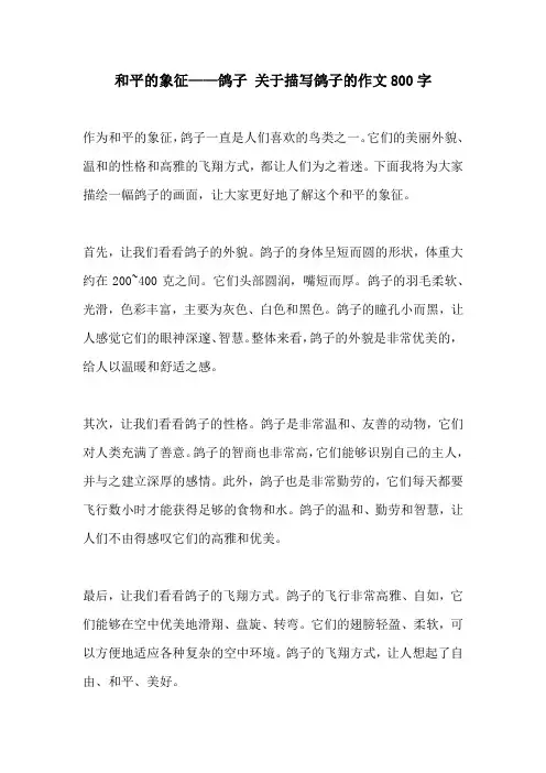 和平的象征鸽子 关于描写鸽子的作文800字