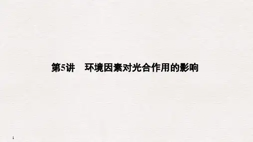 高三生物二轮专题复习 第5讲 环境因素对光合作用的影响