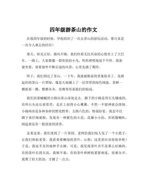 四年级游茶山的作文