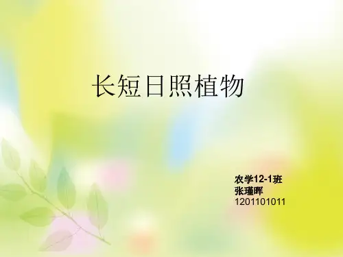 长短日照植物