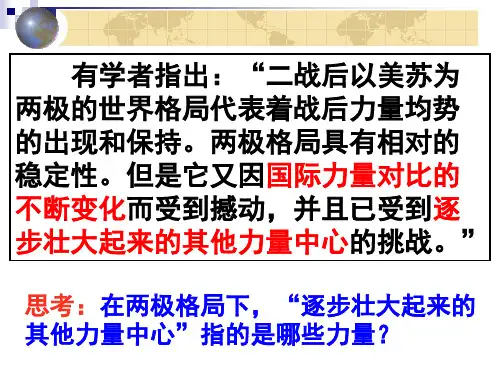 新兴力量的崛起PPT