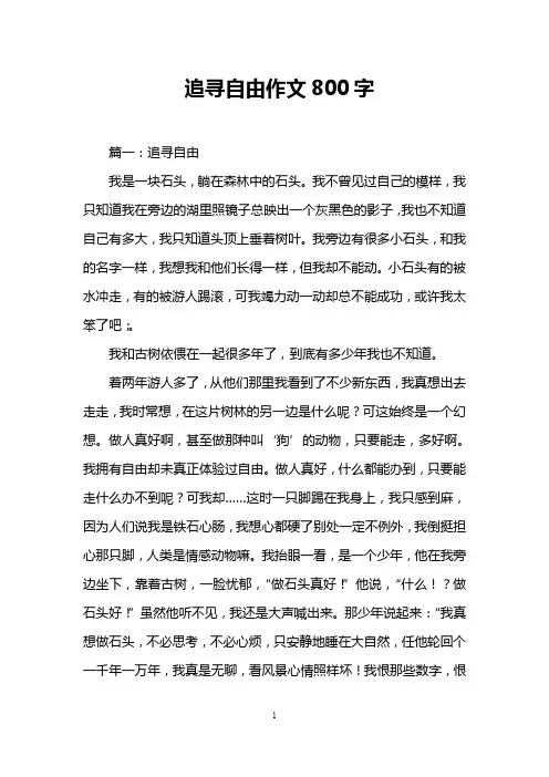 追寻自由作文800字