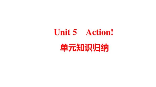 Unit5Action!单元知识归纳课件牛津深圳版英语九年级上册