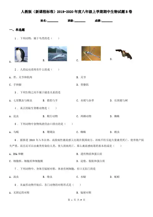 人教版(新课程标准)2019-2020年度八年级上学期期中生物试题B卷精编