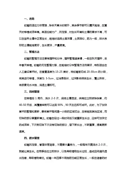 蛇莓的种植方法