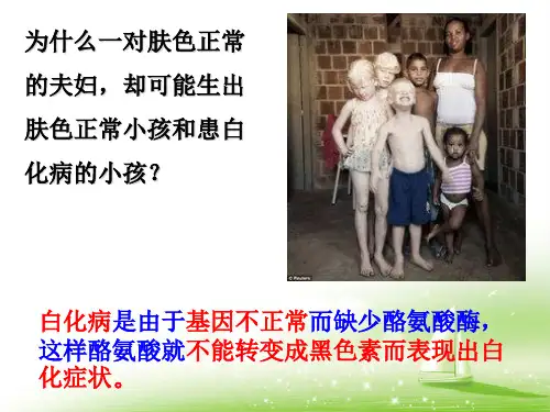 人教课标版生物八年级下册课件第二章 第三节 基因的显性和隐性课件(共33张PPT)