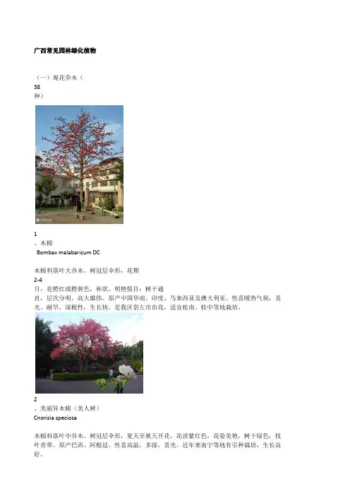 广西常见园林绿化植物