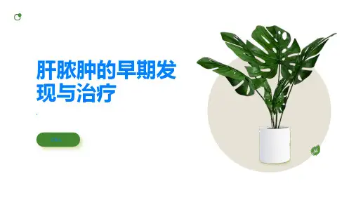 肝脓肿如何早期发现早期治疗这些方法帮你恢复健康