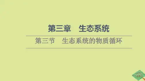 新教材高中生物第3章生态系统第3节生态系统的物质循环课件苏教版选择性必修
